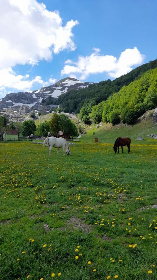 Katun Mokra Accommodation & Horseback Riding Podgorica Eksteriør bilde