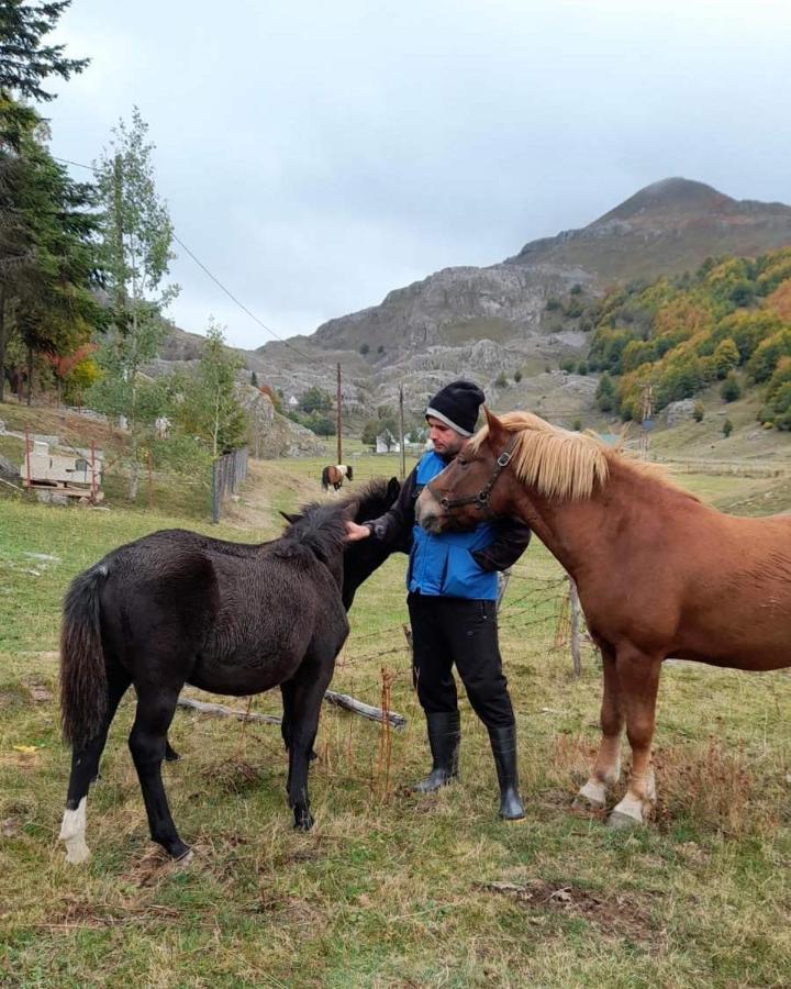Katun Mokra Accommodation & Horseback Riding Podgorica Eksteriør bilde