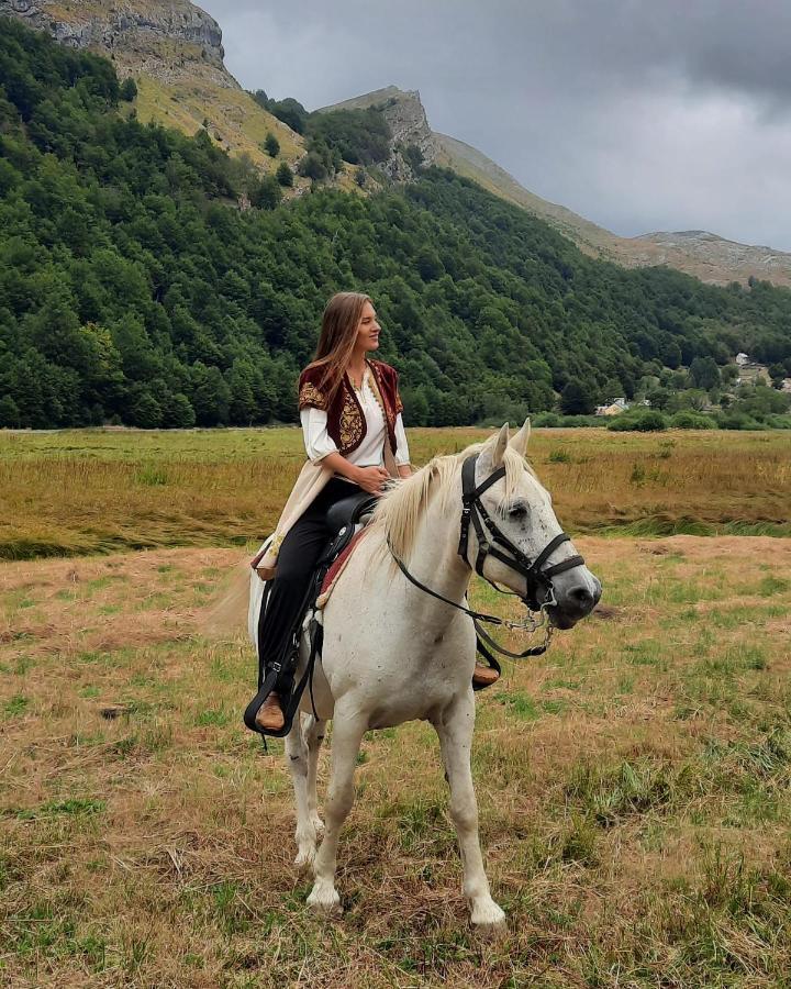Katun Mokra Accommodation & Horseback Riding Podgorica Eksteriør bilde