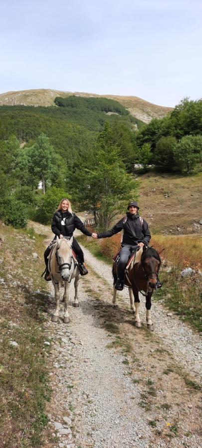 Katun Mokra Accommodation & Horseback Riding Podgorica Eksteriør bilde