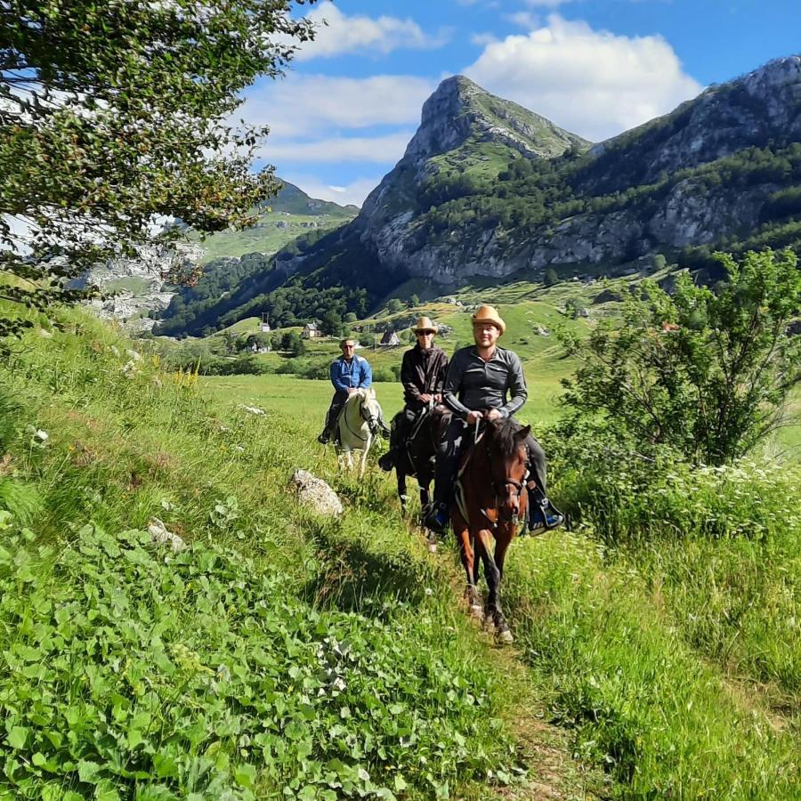 Katun Mokra Accommodation & Horseback Riding Podgorica Eksteriør bilde