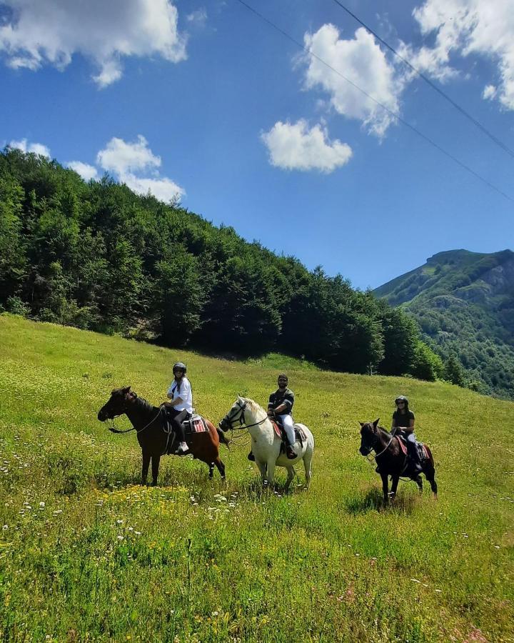 Katun Mokra Accommodation & Horseback Riding Podgorica Eksteriør bilde