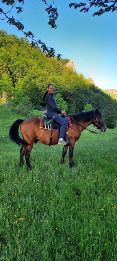 Katun Mokra Accommodation & Horseback Riding Podgorica Eksteriør bilde