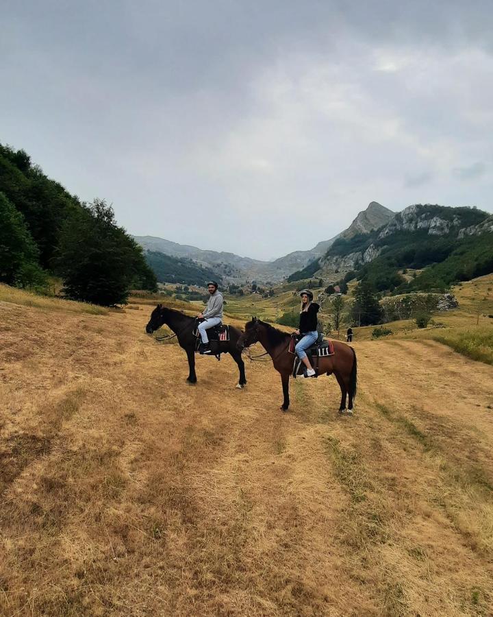 Katun Mokra Accommodation & Horseback Riding Podgorica Eksteriør bilde