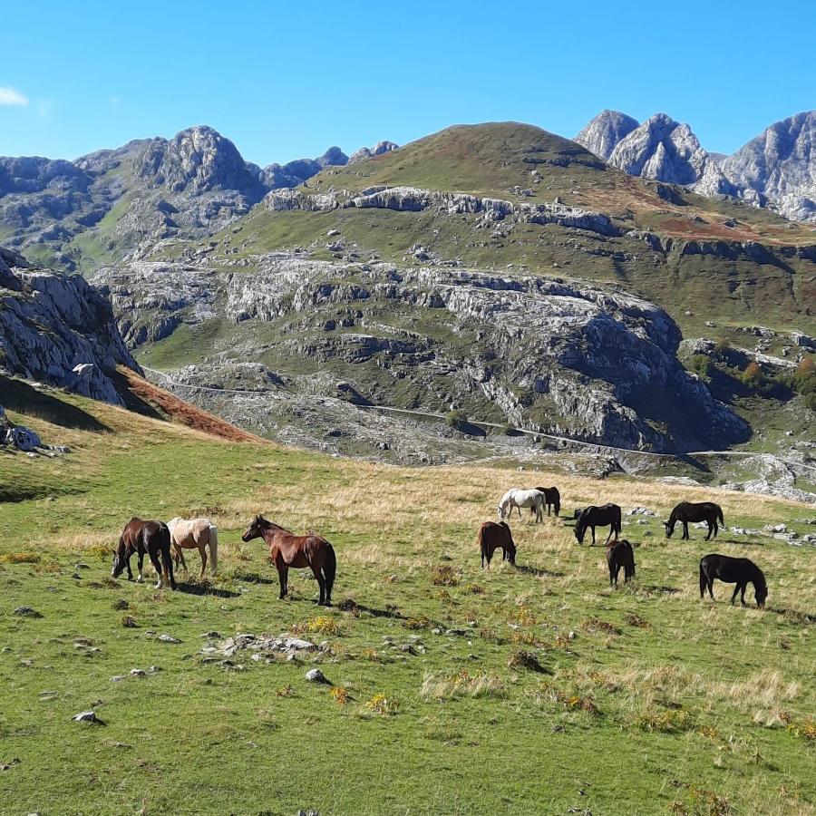 Katun Mokra Accommodation & Horseback Riding Podgorica Eksteriør bilde