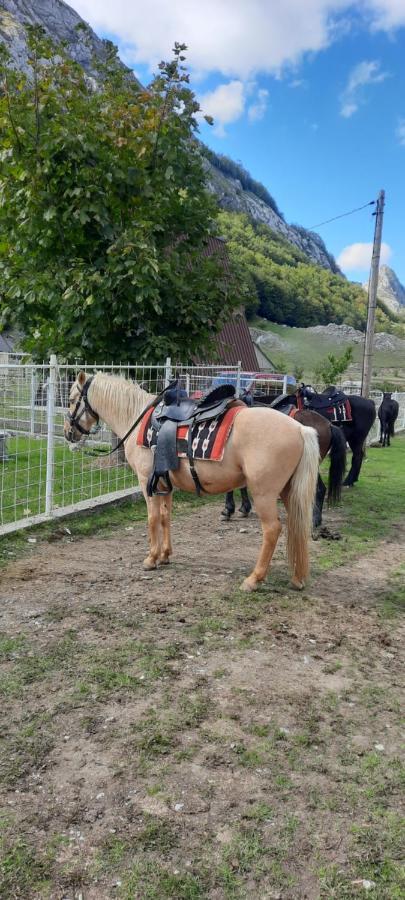 Katun Mokra Accommodation & Horseback Riding Podgorica Eksteriør bilde