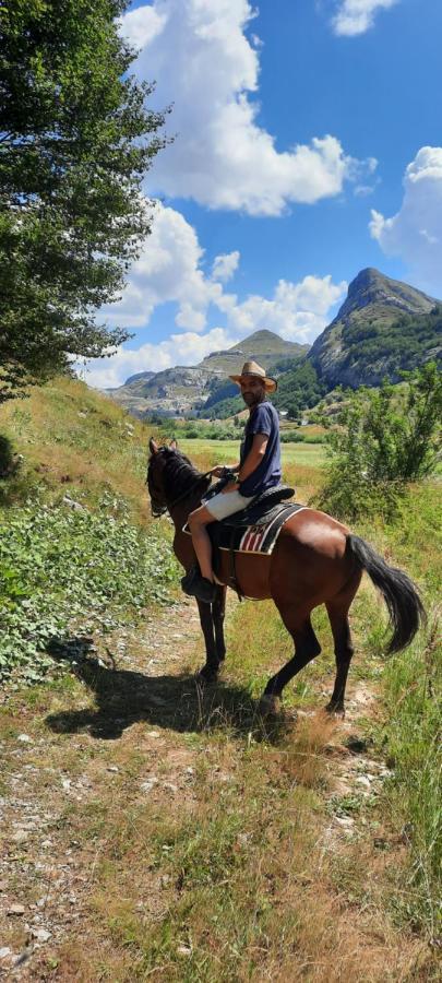 Katun Mokra Accommodation & Horseback Riding Podgorica Eksteriør bilde