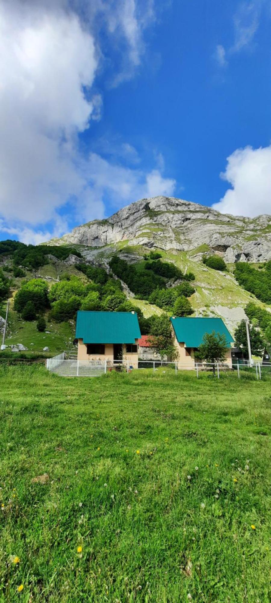 Katun Mokra Accommodation & Horseback Riding Podgorica Eksteriør bilde