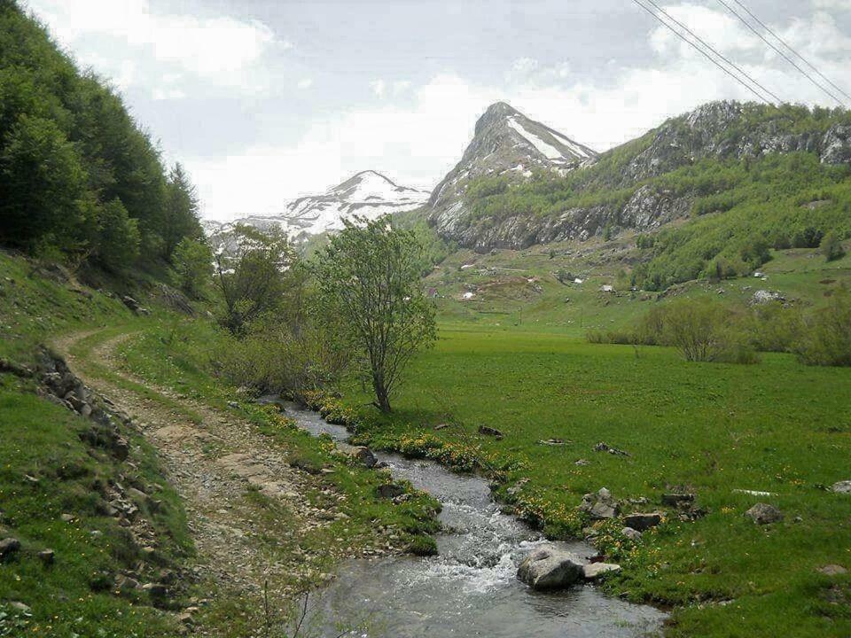 Katun Mokra Accommodation & Horseback Riding Podgorica Eksteriør bilde